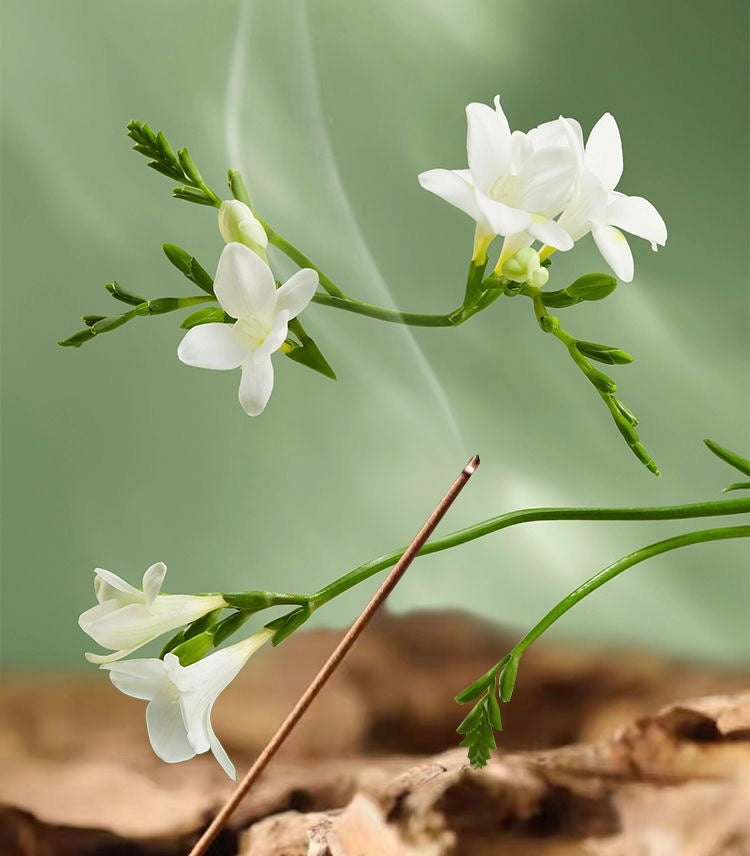 English Pear &Freesia &Traditional Asian Incense Sticks with Lotus Flower Holder, Natural Aroma, Wooden Gift Box